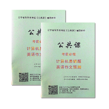 计算机易错题英语作文模板